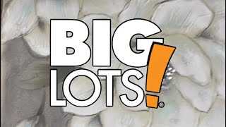 BIG LOTS  DECOR  FALL  TOUR WITH ME  DEALS  More [upl. by Morel951]