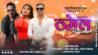 Thamel BazarMasti  Rijan Thing Lama amp Sumina Lo  Urgen Dong  New Nepali Song  Disco Song [upl. by Ricketts]