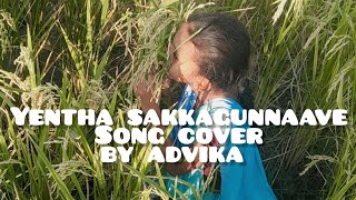 Yentha sakkagunnave song by advika💫  advikarangasthalam ramcharan samanthatollywoodmovies [upl. by Annaeg355]