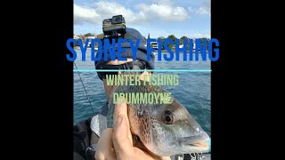 Sydney Fishing  Bream Fishing sydneyfishing breamfishing [upl. by Demmahom]