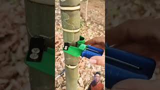 How to use fruit tree ring pleelers diy tools agriculture gardening cachtrongcay farming [upl. by Aitnohs]