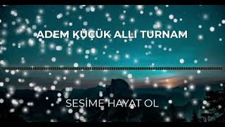 ALLI TURNAMADEM KÜÇÜKİYİ DİNLEMELER [upl. by Hayyikaz]