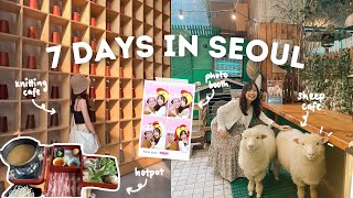 KOREA VLOG What to do for 7 days in Seoul  Shopping Eating Visiting Alpaca World and more 🇰🇷 [upl. by Yekciv]