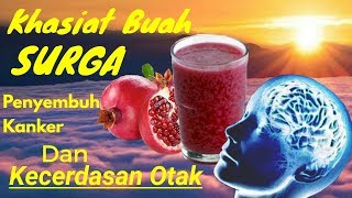 KHASIAT BUAH DELIMA [upl. by Ruddie18]