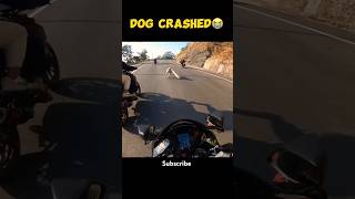 Omg 😰Dog🐕 crashed😭 shorts ytshorts viralshort viralreels viralvideos rider ayteach motovlog [upl. by Westphal334]