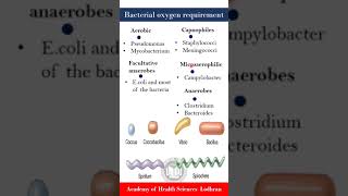 Bacteria on the basis of oxygen requirements  Microbiology  By Imran Yaseen [upl. by Anitnerolf]