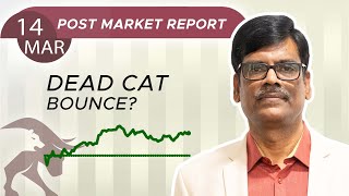 DEAD CAT Bounce Post Market Report 14Mar24 [upl. by Branch]