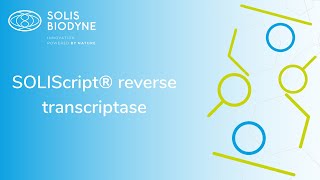 SOLIScript® reverse transcriptase [upl. by Sigsmond]