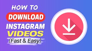 How to Download Instagram Videos on PC Easily [upl. by Jorgenson4]