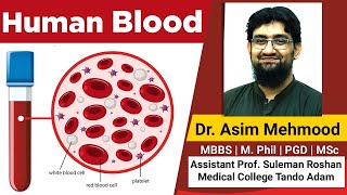 Human Blood  Composition  Cells  Functions Made Easy  Hindi  Urdu [upl. by Schulze]