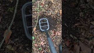 Metal Detecting with Go Find  square lid of some kind metaldetecting minelab [upl. by Calley]