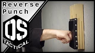 Karate Baiscs Standard Punch Tutorial [upl. by Jablon]