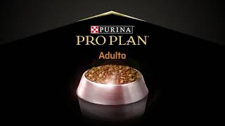 Pro Plan® SAVOR con probióticos [upl. by Aliab511]