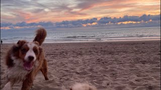 SCHEVENINGEN STRAND AVOND ZON LIVE [upl. by Mosra]