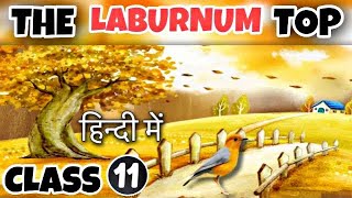 The Laburnum Top Class 11  Detailed Explaination  Hornbill [upl. by Rondon]