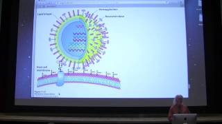 17 Kevin Aherns Biochemistry  Carbohydrates II [upl. by Sreip]