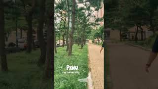 A stroll around the campus of PKNU this summer 2023 pknu pukyong campus busankorea [upl. by Yerocaj653]