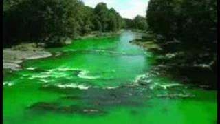 Brodhead Creek turns green [upl. by Scever]