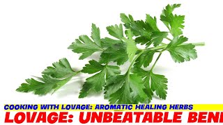 Cooking with Lovage Aromatic Healing Herbs [upl. by Wartow]