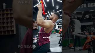 Lat Pulldown Mistakes KILLING BACK GAINS [upl. by Adnaerb958]