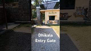 Dhangadhi Gate dhikala shorts jimcorbettnationalparkuttrakhand travel nature [upl. by Dael]