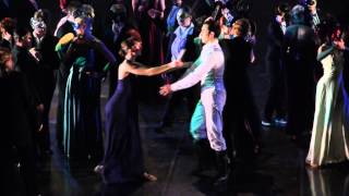 ZWANENMEER SIEGFRIED EN ODETTE  LONNEKE VAN LETH DANS [upl. by Zzahc]