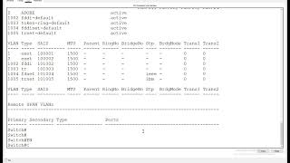 VLANCISCO Packet Tracer Lab 3 [upl. by Thapa]