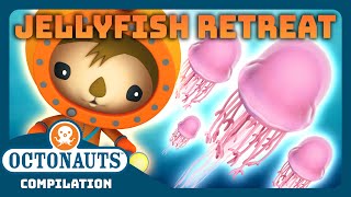 Octonauts  🎐 Jellyfish Retreat 🏖️  3 Hours Full Episodes Marathon  Explore the Ocean [upl. by Niwre]