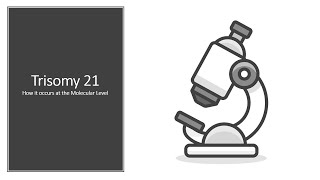 Trisomy 21 How it Occurs at the Molecular Level [upl. by Nylrac]