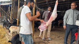 Roadside Famous Mutton Shop In Dhaka  Fastest Mutton Cutting Skills  Goat Cutting [upl. by Vaas]