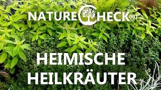 Heimische Heilpflanzen  Ein Streifzug durch die Natur [upl. by Schatz432]