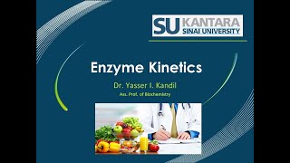 Enzyme Kinetics [upl. by Sioled517]