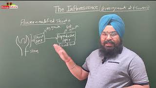 Morphology of Flowering Plants Lecture 04 [upl. by Hsekin91]