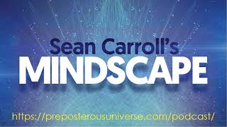 Mindscape 78  Daniel Dennett on Minds Patterns and the Scientific Image [upl. by Enamrahs]