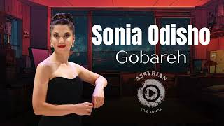 Sonia Odisho  Gobareh Assyrian Live Songs Chicago 2024 [upl. by Ayortal]