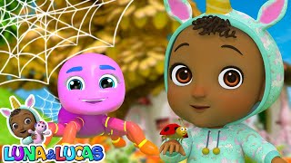 Itsy Bitsy Spider  Baby Songs amp Nursery Rhymes for Kids [upl. by Aitnas]