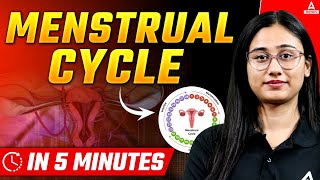 Menstrual Cycle Class 12 for NEET 2025  Phases Hormonal Regulation and Key Concepts Explained [upl. by Katzen]