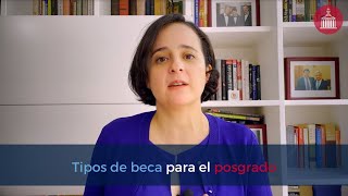 ¿Cuántos tipos de beca existen para estudiar el posgrado [upl. by Findley56]