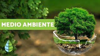 ¿QUÉ ES EL MEDIO AMBIENTE  Definición y resumen [upl. by Boonie]