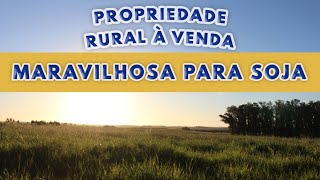 Área rural à venda em Bagé  RS [upl. by Yemaj131]