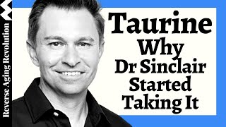 WHY Dr David Sinclair Added TAURINE To His Regimen amp His Dosage [upl. by Purington307]