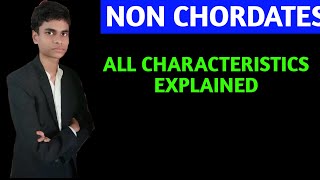 Characteristics of Non chordates  All characteristics explained [upl. by Lledyr359]