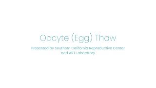 Oocyte Egg Thaw [upl. by Ahterahs632]