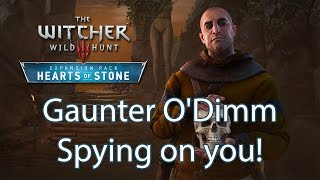 Witcher 3 Gaunter ODimm detail you probably missed while playing Hearts of Stone [upl. by Bobina]