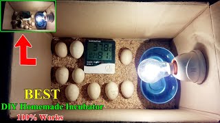 How to Make a Homemade Incubator for Chicken Eggs  Hatching Eggs  DIY Homemade Incubator Easy [upl. by Abbie106]