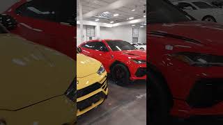 Lamborghini Urus Lineup at Tactical Fleet Dallas [upl. by Auohp72]