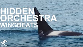 Hidden Orchestra  Wingbeats Official Video [upl. by Aymer]