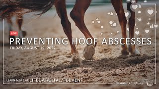 Preventing Hoof Abscesses [upl. by Eberhard]