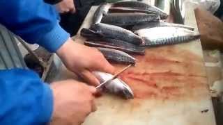 Balık temizlemede son nokta  Fast Fish Clean [upl. by Nosreg255]