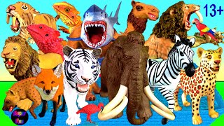 Animals  Lion Tiger Leopard Zebra Hyena Fox Camel Mammoth Smilodon Megalodon Lizard 13 [upl. by Fisoi249]